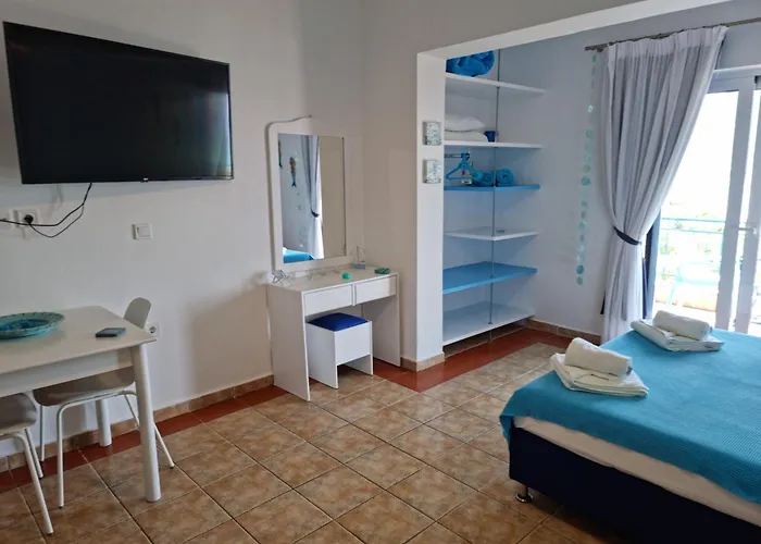 Wild Seagull * ヴァシリキ