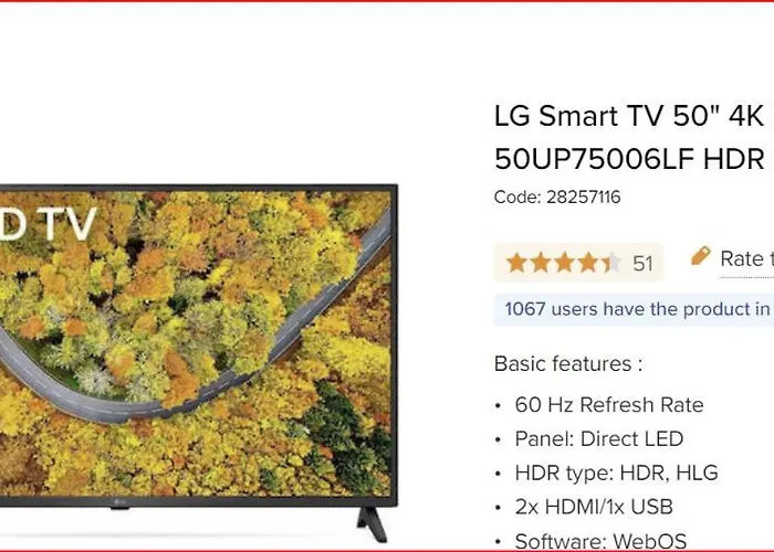 Wild Seagull ヴァシリキ