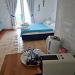 Apartment Wild Seagull