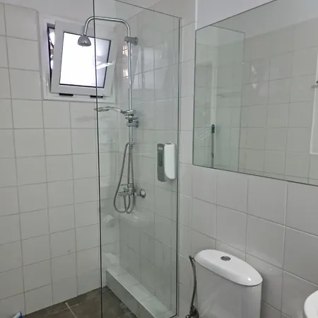 Wild Seagull Vassiliki