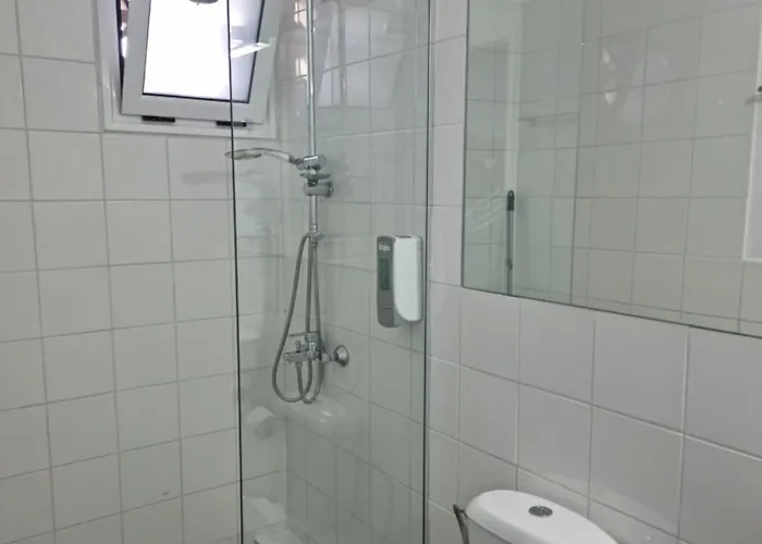 Wild Seagull Vasiliki